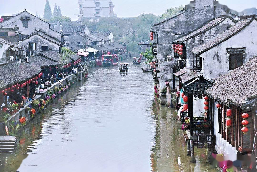逃离鱼店